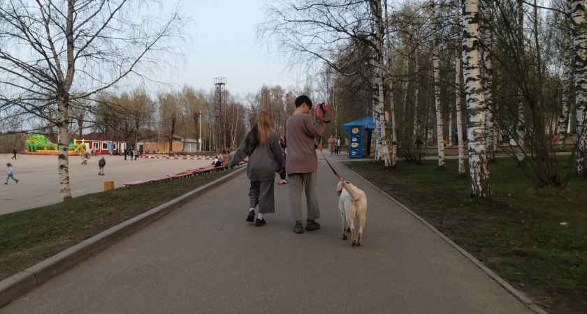 Покажут пальцем и засмеют: в этом слове нет буквы «З», но каждый второй ее упорно вставляет