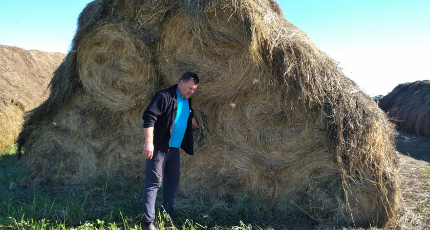 Самое крупное КФК в ондом из районов Коми наращивает объемы производства