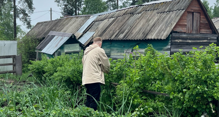 После 25 мая всегда закапываю тряпку на огороде — странный, но рабочий метод от французских фермеров