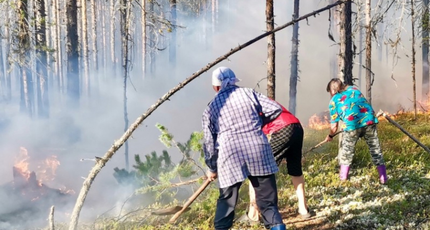 Жители Коми спасли свою деревню от лесного пожара