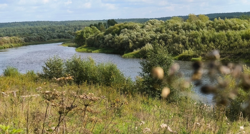 Округ в Коми заплатит миллионы за загрязнение реки