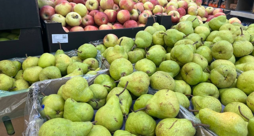 В этих продуктах содержатся мышьяк, ртуть и ядовитый свинец: а мы их едим каждый день, да еще и детям предлагаем