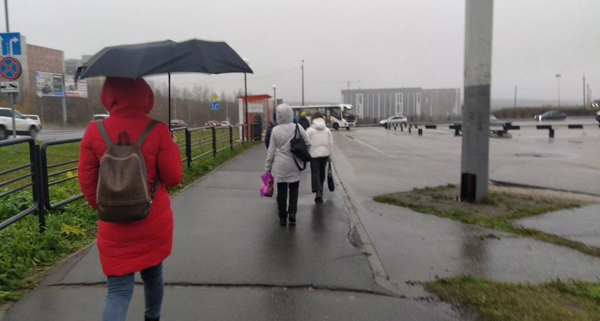 «Июнь, июль и август дадут всем прикурить». Опытные синоптики обновили прогноз на лето