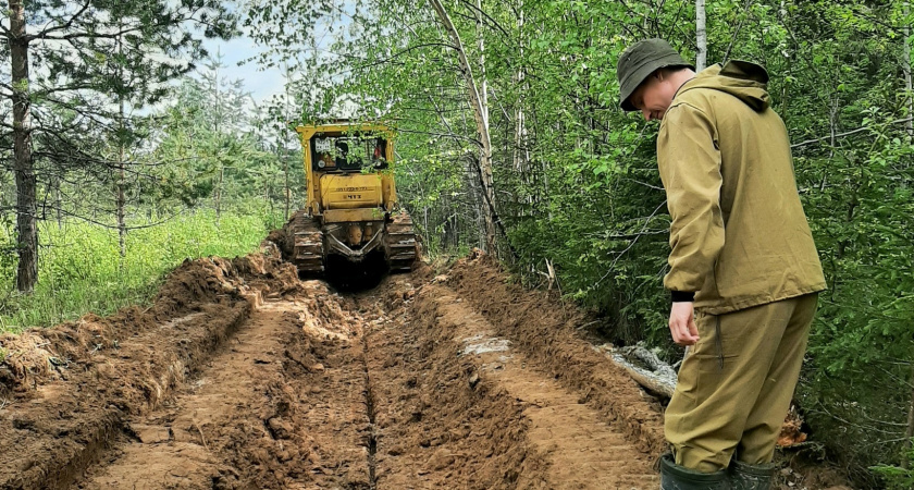 В Республике Коми создано свыше 200 километров противопожарных полос и благоустроены зоны отдыха