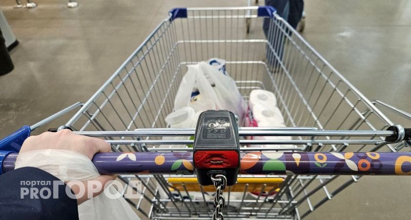 В Коми будущим мамам оказывают финансовую поддержку на приобретение продуктов