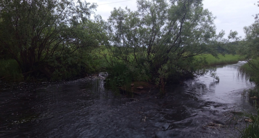 В Усинске провели экстренное совещание из-за загрязнения водоёма