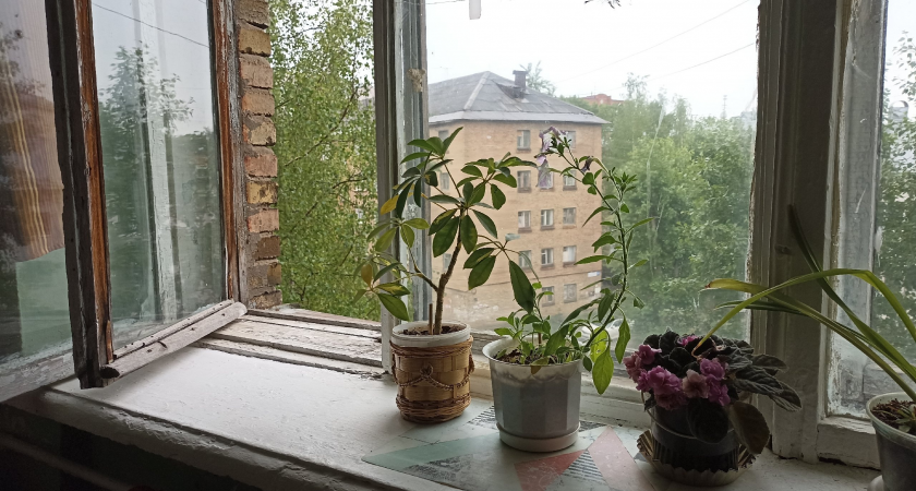 Одна чайная ложка — и окна не трогаю до поздней осени: копеечный трюк для ленивых
