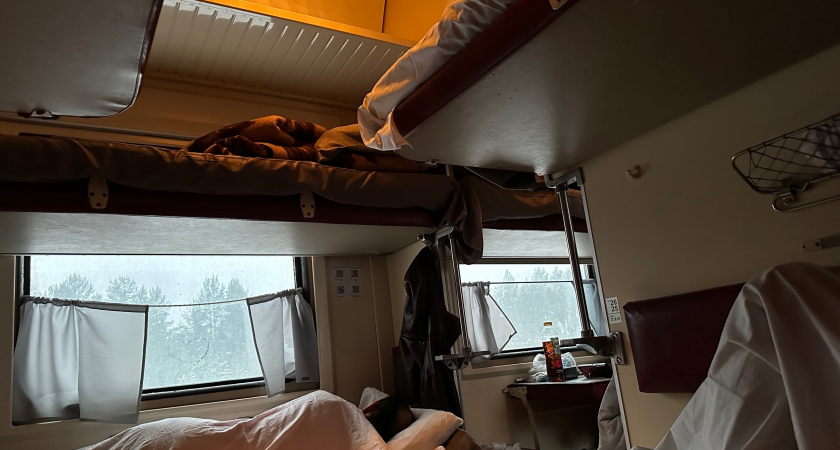 В плацкарт вошла благородная пожилая дама. Пришлось уступить низ, и это было лучшее решение