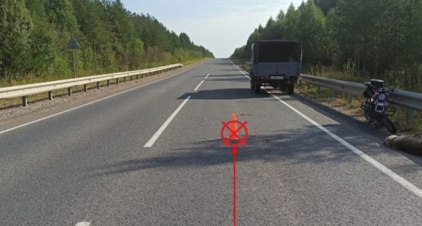 В Коми мопедист получил травмы после наезда на собаку