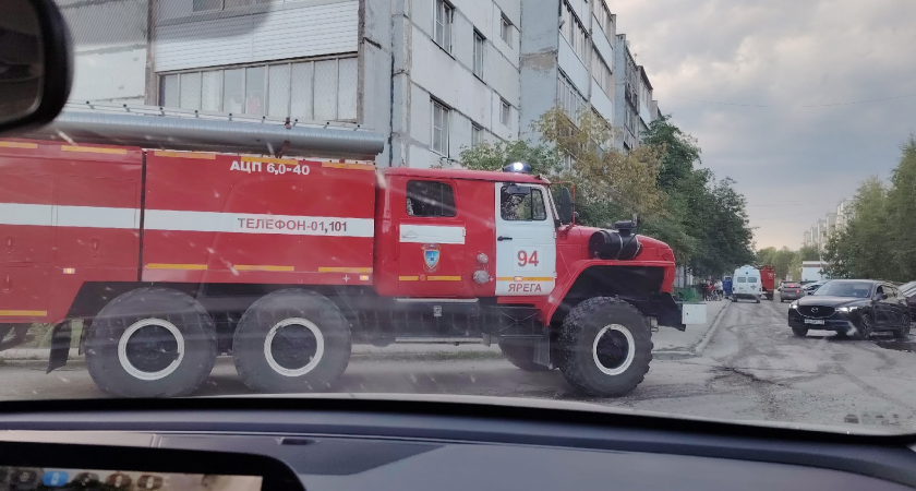 Как правильно уступить дорогу спецтранспорту? Вступили в силу новые поправки в Правила дорожного движения
