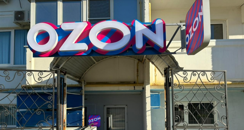 Ozon Job - работа самозанятым через приложение на телефоне, какие итоги 4 смен