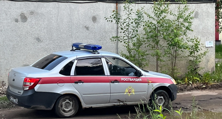 В Усинске росгвардейцы вывезли нарушительницу порядка из общежития