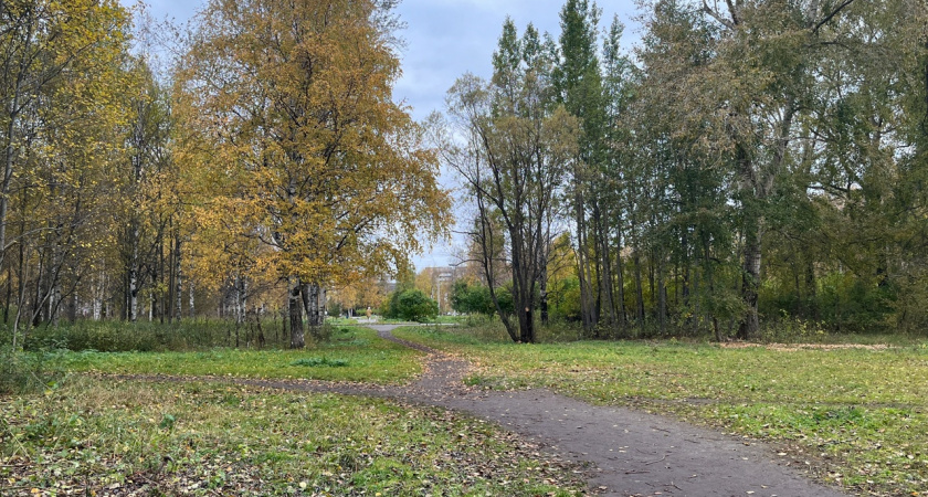 В Коми 7 октября потеплеет и установится сухая погода