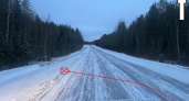 В Коми водитель бросил раненых пассажиров после ДТП