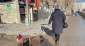 И работающим, и неработающим. Всем, кто получает пенсию, дадут разовую выплату в середине апреля