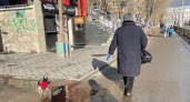 Подписан новый указ. Пенсионеров, у которых есть стаж 20/25 лет, ждет большой сюрприз
