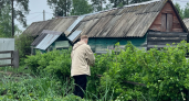 После 25 мая всегда закапываю тряпку на огороде — странный, но рабочий метод от французских фермеров