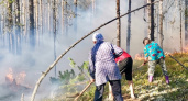 Жители Коми спасли свою деревню от лесного пожара