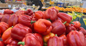 Россельхознадзор выявил нарушения при продаже семян в Усинске
