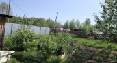 5 ложек на 10 литров - и опрыскала капусту в июле: белокрылка в муках покинула грядки — целые здоровые кочаны уже к концу сезона