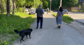 «Хватит на целый год». Пенсионерам передадут это помимо пенсии в августе