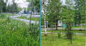 В Усинске коммунальщики улучшают городскую среду