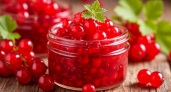 Как я заготавливаю джем из красной смородины: быстро, вкусно и без косточек