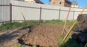 Зарабатываю 100 тысяч в месяц в селе не напрягаясь: городские друзья обзавидовались - теперь тоже домик присматривают