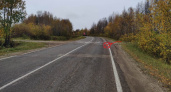 В Коми нетрезвый водитель ВАЗ лишился пассажира во время движения
