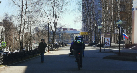 Треть жителей Коми задумывается о смене профессии, грезя об IT