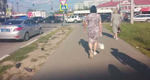 Летние каникулы сократят вдвое: утвердили и согласовали новые даты