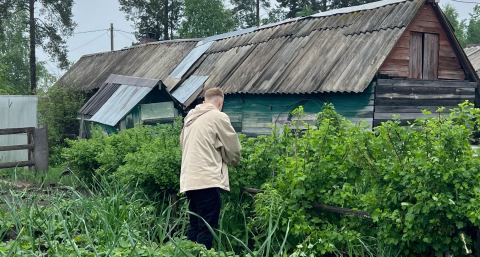 После 25 мая всегда закапываю тряпку на огороде — странный, но рабочий метод от французских фермеров