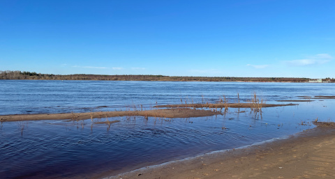 Коми столкнулась с подтоплениями из-за резкого подъема воды в Печоре