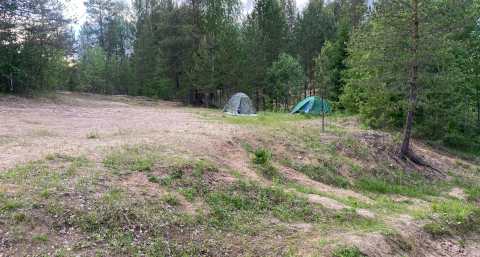 С 19 июня будет полностью запрещён отдых на природе: любителям чистого воздуха придётся поискать другие места