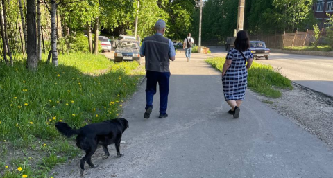 «Хватит на целый год». Пенсионерам передадут это помимо пенсии в августе