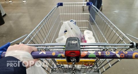 В Коми будущим мамам оказывают финансовую поддержку на приобретение продуктов